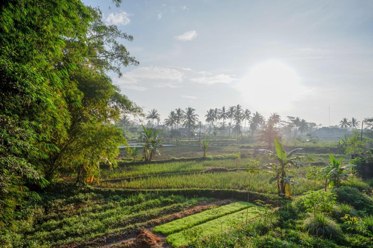 מלון Balong  Reddoorz Syariah At Omah Sawah מראה חיצוני תמונה